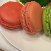 らうたきいの画像