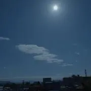 ペソ(※プロフィール必須)の画像