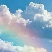 ピコの画像