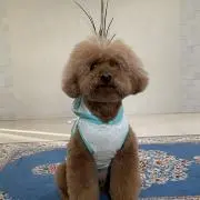 とむくん