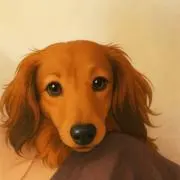 即購入〇プロフィール確認必須の画像