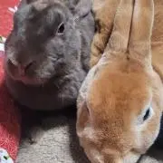 ここの画像