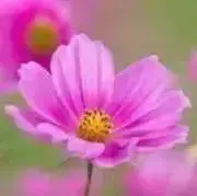 るんるん♡の画像