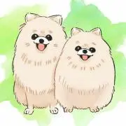 ぽん