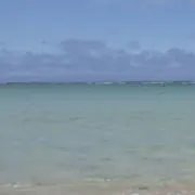 Image of taketo