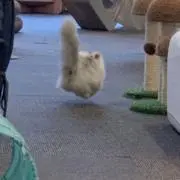 かいとの画像
