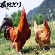 鉄太郎 プロフ必読の画像