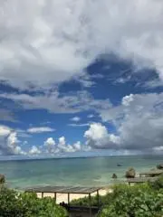 8131の画像