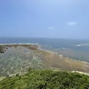 のぶ