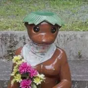 ソルトの画像