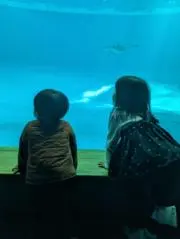 にゅうにゅう