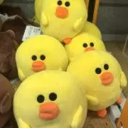 Humの画像