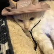 マキマキ