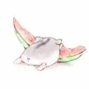 パルちゃん3の画像