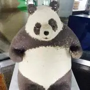 ぽすの画像