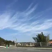 あさきゆめみしの画像