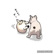 idesaの画像