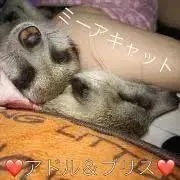 K-S-K-R-M