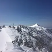 terraの画像
