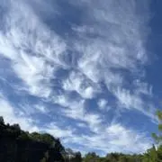 丸五郎の画像