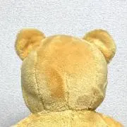 しゃるぽの画像