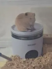 AIの画像