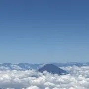 クリームソーダの画像