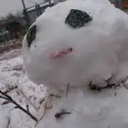 ものこ