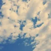 さつき