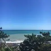 シェリの画像
