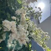 Ｕｕの画像
