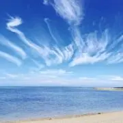 Ｙ.Aの画像