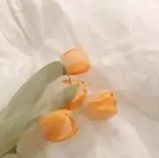 ☆MIN☆の画像
