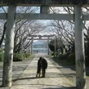 momoichi☆