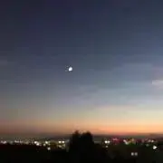 ナオの画像