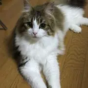 あきちゃん