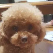 らんらん