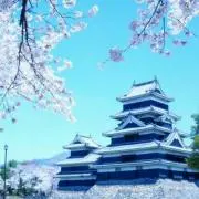 るんばの画像