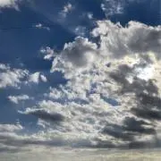 kobanaの画像