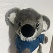Marchの画像