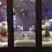 スノー❄プロフ更新