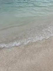 れもん