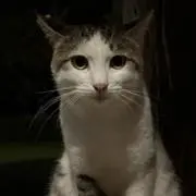 わ
