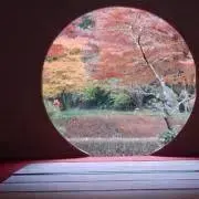 yokoの画像