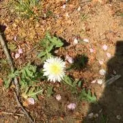 びばこ