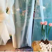 chiyonoの画像