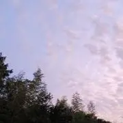 てってー