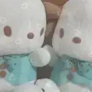 マカの画像