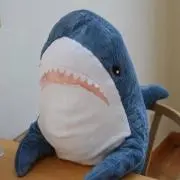 さめの画像