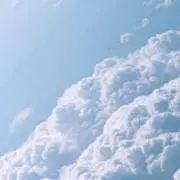 にゃんの画像